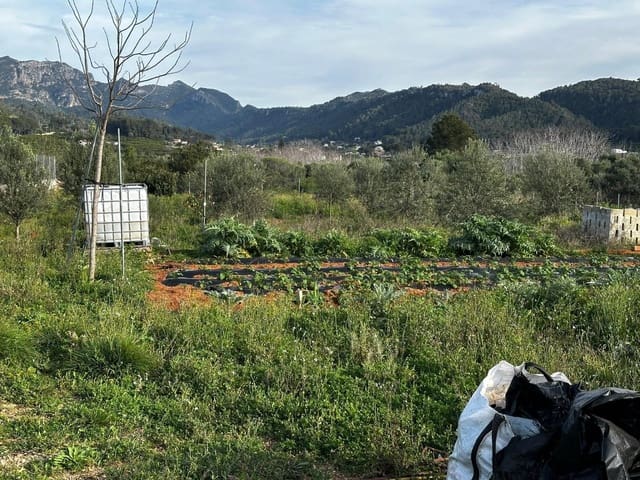 Landgrundstück zu verkaufen in Alzira - 57.000 € (Ref: 9913146)