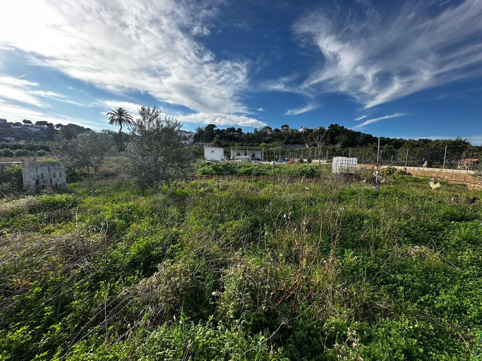 Undeveloped Land for sale in Alzira - € 57,000 (Ref: 9913146)