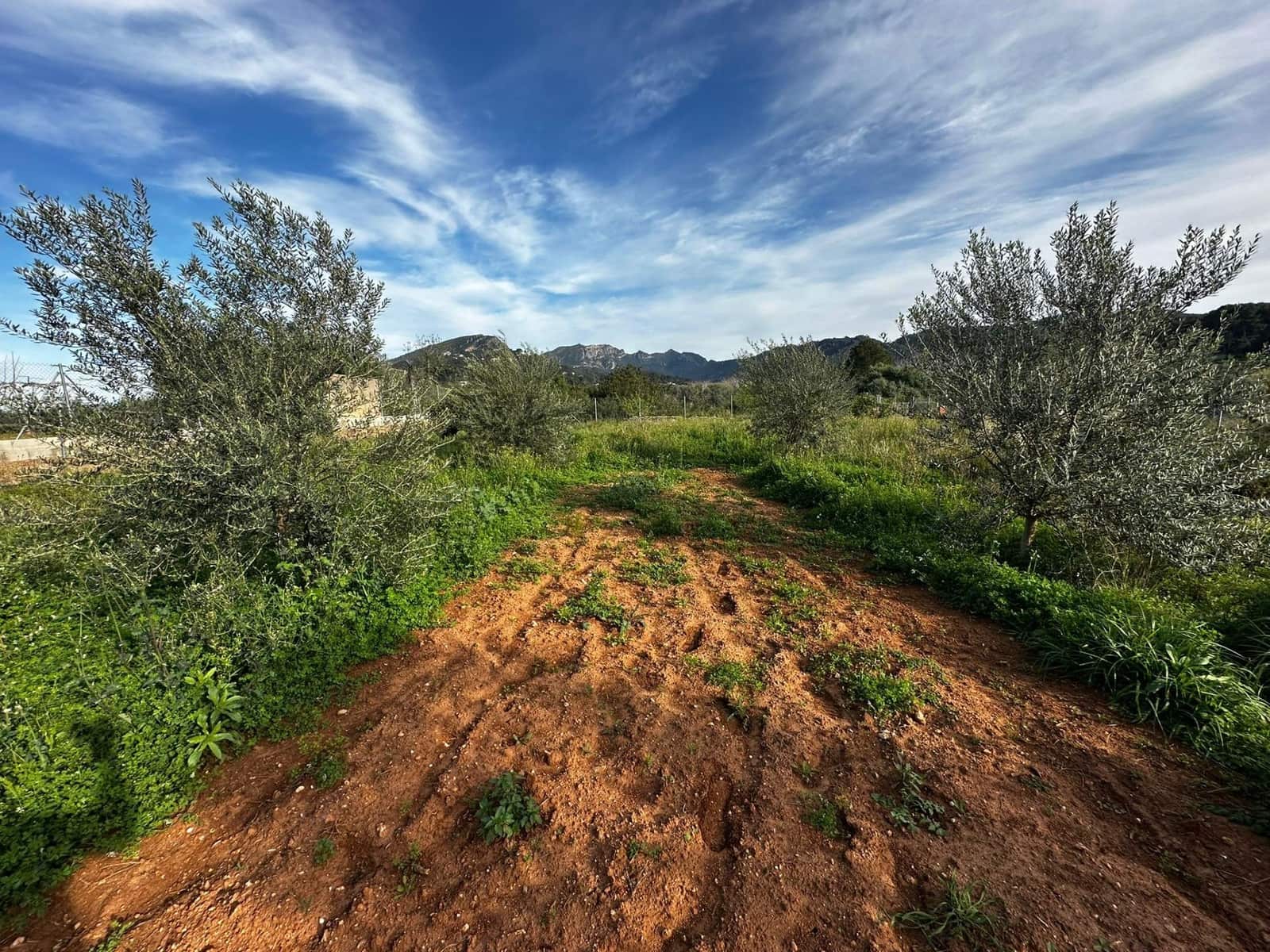 Undeveloped Land for sale in Alzira - € 57,000 (Ref: 9913146)