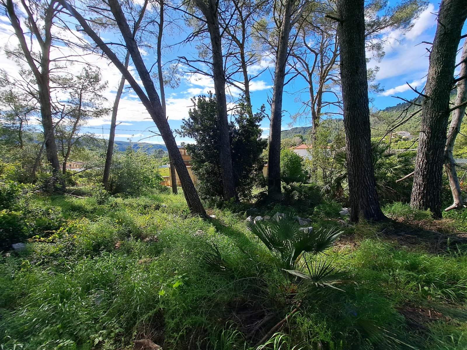 3 sovrum Finca/Hus på landet till salu i Alzira med pool - 120 000 € (Ref: 9915791)