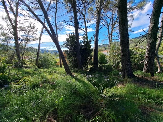 3 sovrum Finca/Hus på landet till salu i Alzira med pool - 120 000 € (Ref: 9915791)