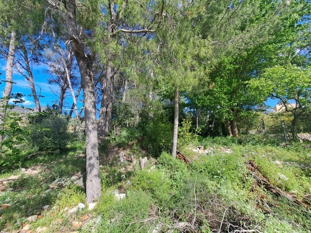 3 sovrum Finca/Hus på landet till salu i Alzira med pool - 120 000 € (Ref: 9915791)