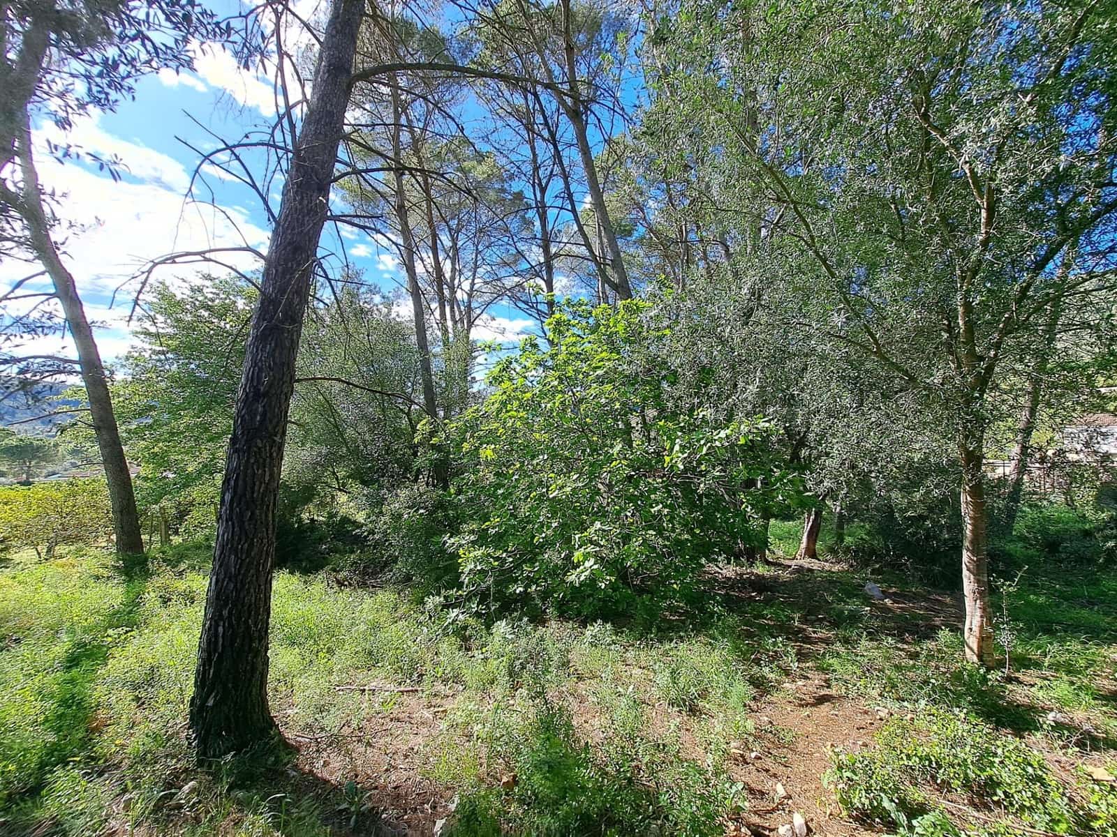 3 sovrum Finca/Hus på landet till salu i Alzira med pool - 120 000 € (Ref: 9915791)