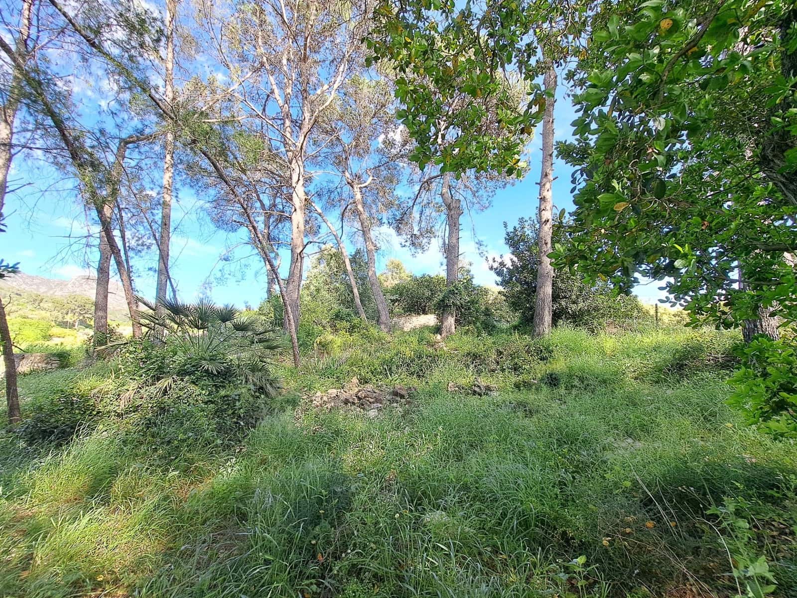 3 sovrum Finca/Hus på landet till salu i Alzira med pool - 120 000 € (Ref: 9915791)