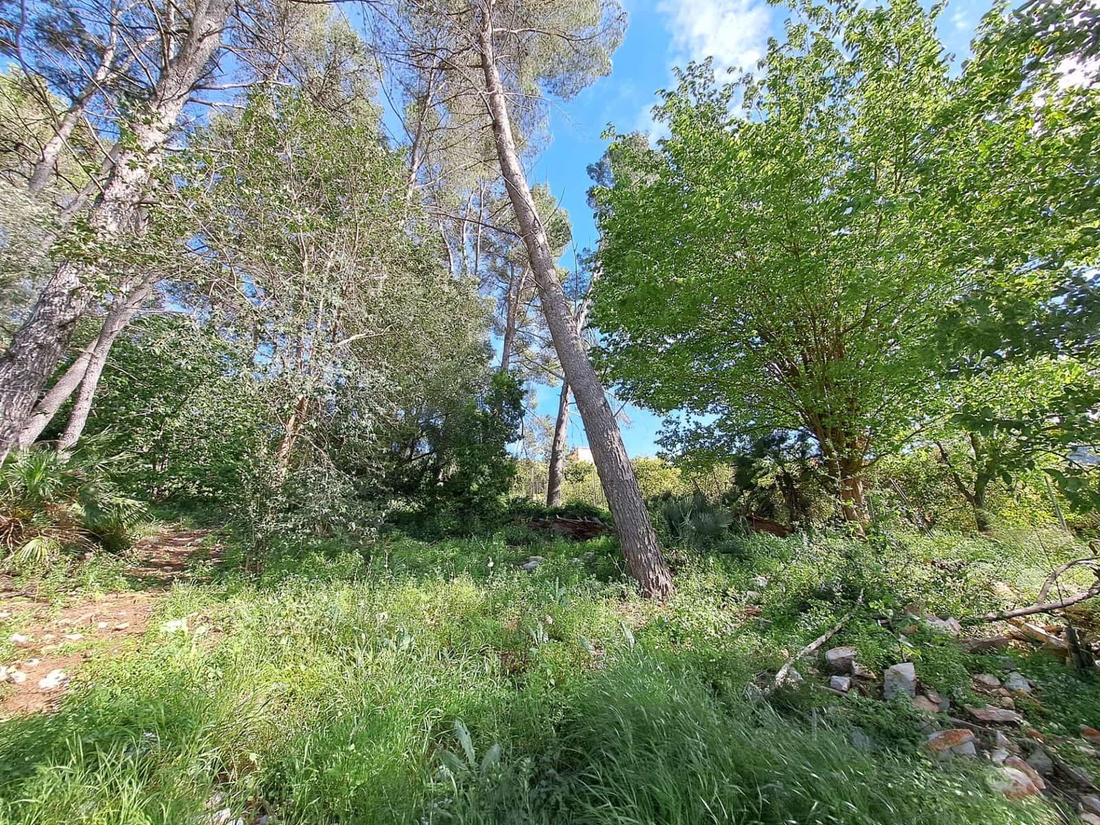 3 sovrum Finca/Hus på landet till salu i Alzira med pool - 120 000 € (Ref: 9915791)