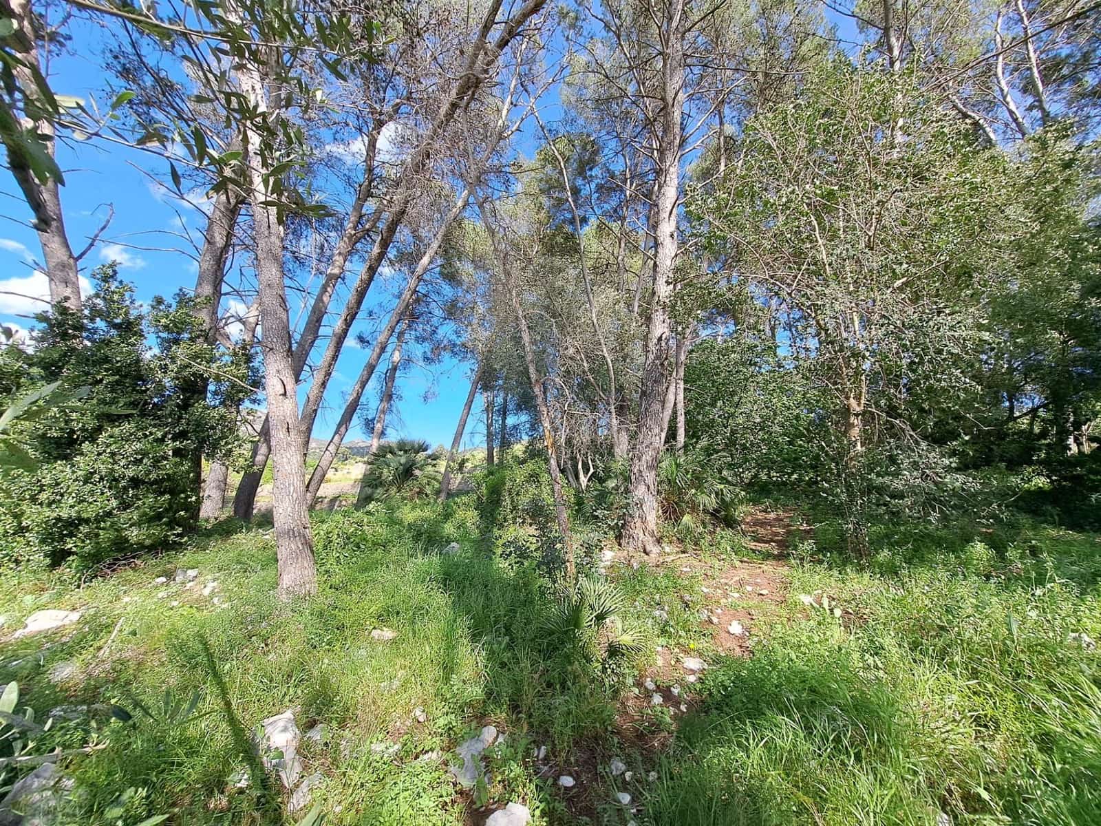 3 sovrum Finca/Hus på landet till salu i Alzira med pool - 120 000 € (Ref: 9915791)