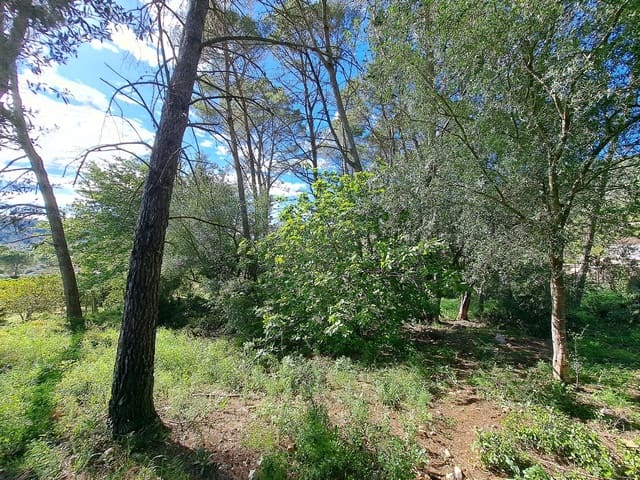 3 sovrum Finca/Hus på landet till salu i Alzira med pool - 120 000 € (Ref: 9915791)
