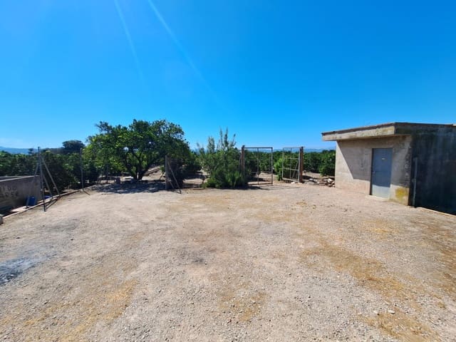 Terre non Aménagée à vendre à Carcaixent - 65 000 € (Ref: 9942503)