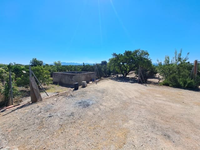 Terre non Aménagée à vendre à Carcaixent - 65 000 € (Ref: 9942503)