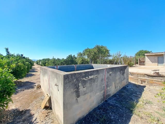 Terre non Aménagée à vendre à Carcaixent - 65 000 € (Ref: 9942503)