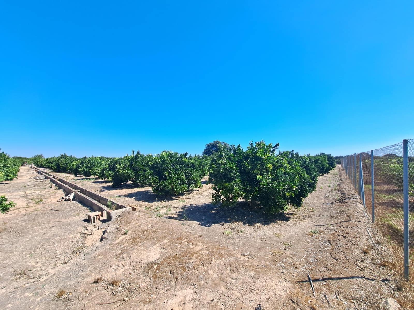 Undeveloped Land for sale in Carcaixent - € 65,000 (Ref: 9942503)