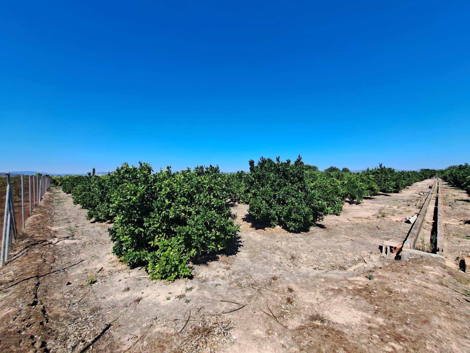 Undeveloped Land for sale in Carcaixent - € 65,000 (Ref: 9942503)