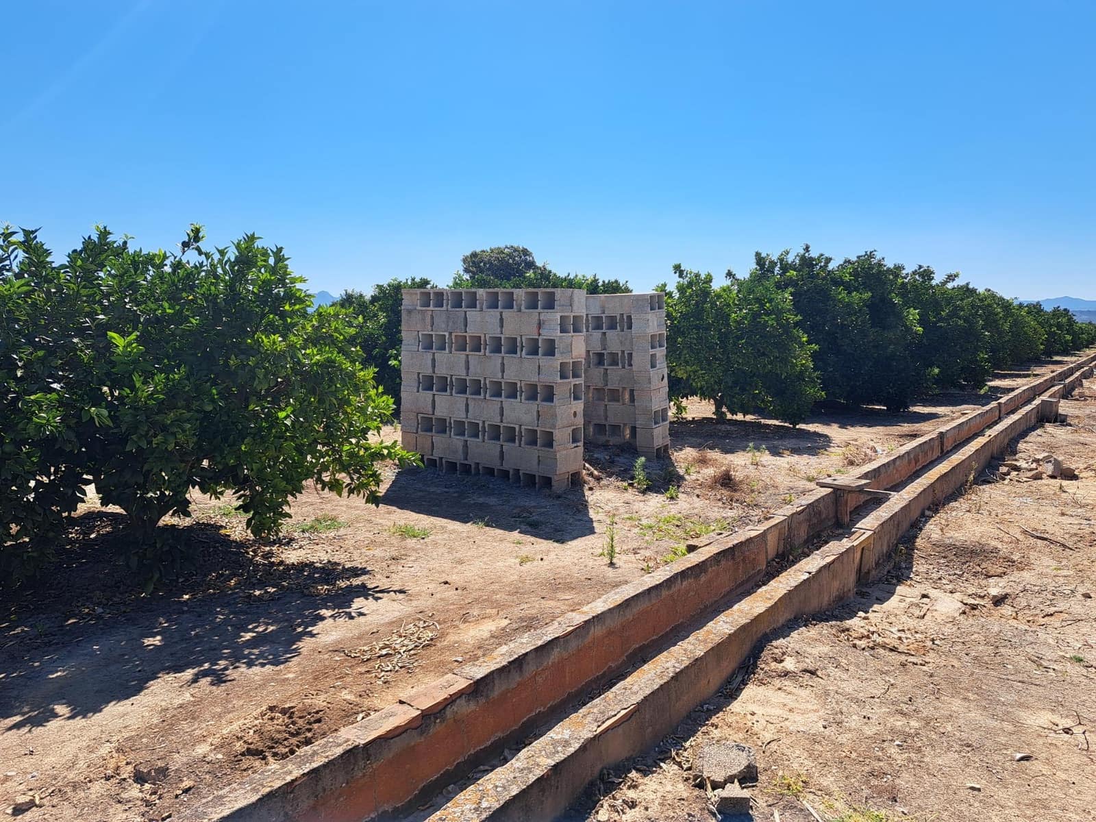 Undeveloped Land for sale in Carcaixent - € 65,000 (Ref: 9942503)
