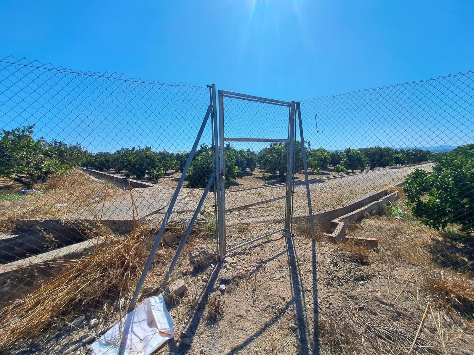 Undeveloped Land for sale in Carcaixent - € 65,000 (Ref: 9942503)