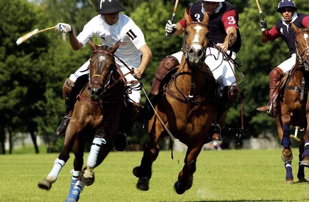 3 camera da letto Villa in vendita in Manilva con piscina garage - 527.000 € (Rif: 8611806)