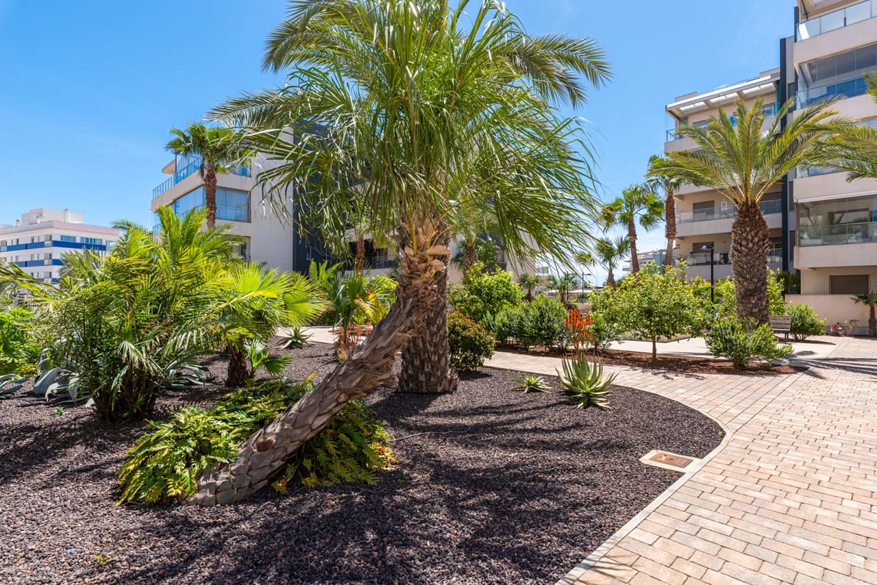 3 soveværelse Penthouse til salg i Los Dolses med swimmingpool garage - € 375.000 (Ref: 8509467)