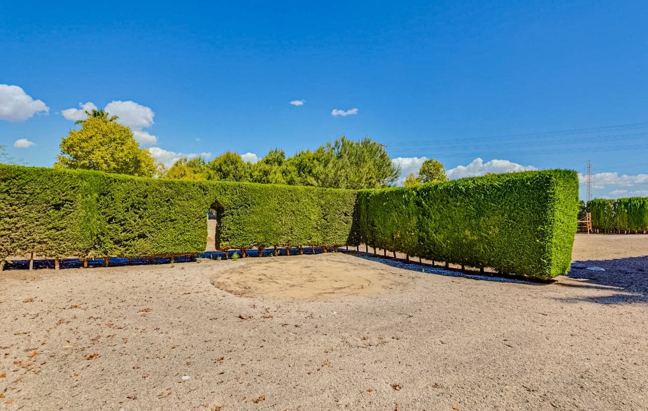 4 camera da letto Villa in vendita in Jacarilla con garage - 489.000 € (Rif: 8842890)