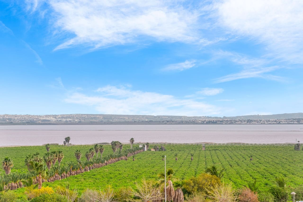 3 chambre Appartement à vendre à Torrevieja avec piscine - 349 000 € (Ref: 8948618)