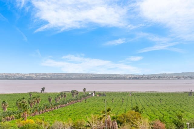 3 chambre Appartement à vendre à El Molino, Torrevieja avec piscine - 349 000 € (Ref: 8948618)