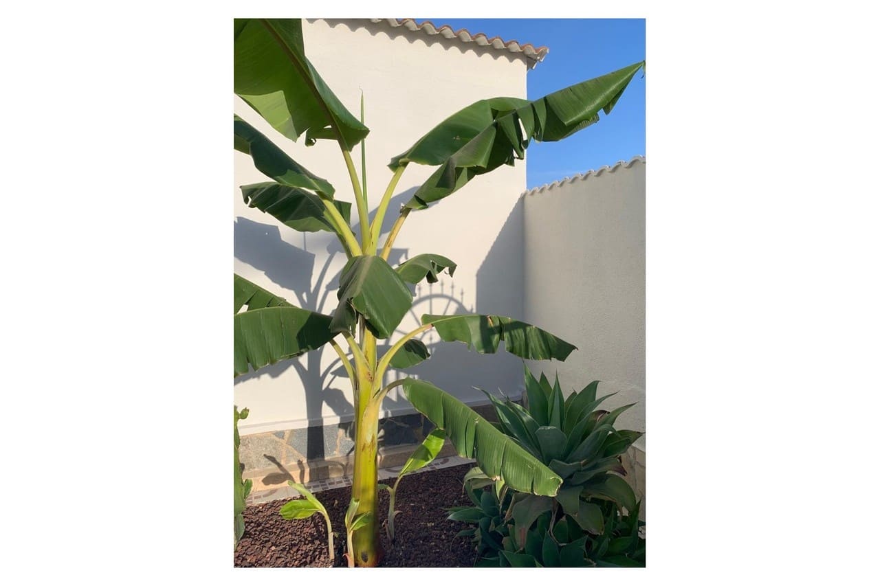 4 camera da letto Villa in vendita in Ciudad Quesada con piscina - 530.000 € (Rif: 9128037)