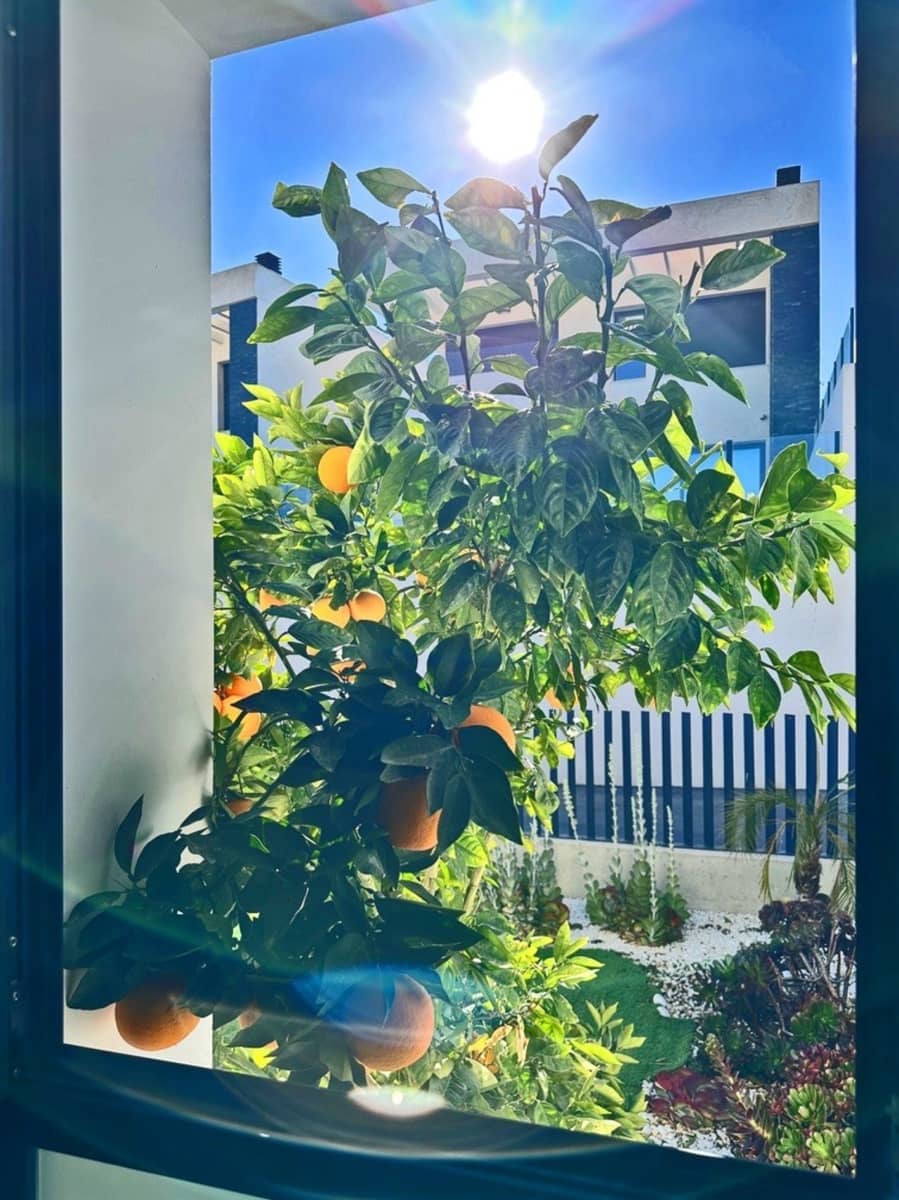 3 Zimmer Villa zu verkaufen in Rojales - 620.000 € (Ref: 9154928)