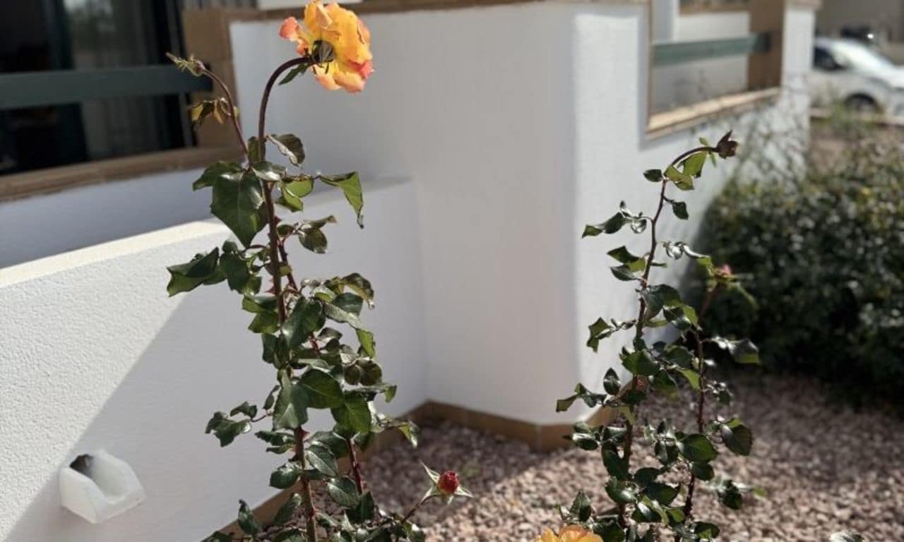 2 chambre Appartement à vendre à Orihuela Costa - 212 350 € (Ref: 9155091)