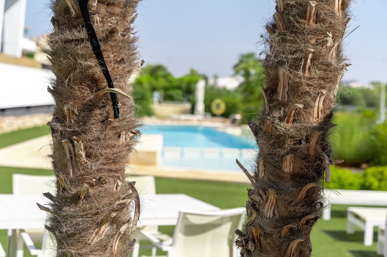 3 quarto Penthouse para venda em Orihuela Costa - 498 000 € (Ref: 9155197)