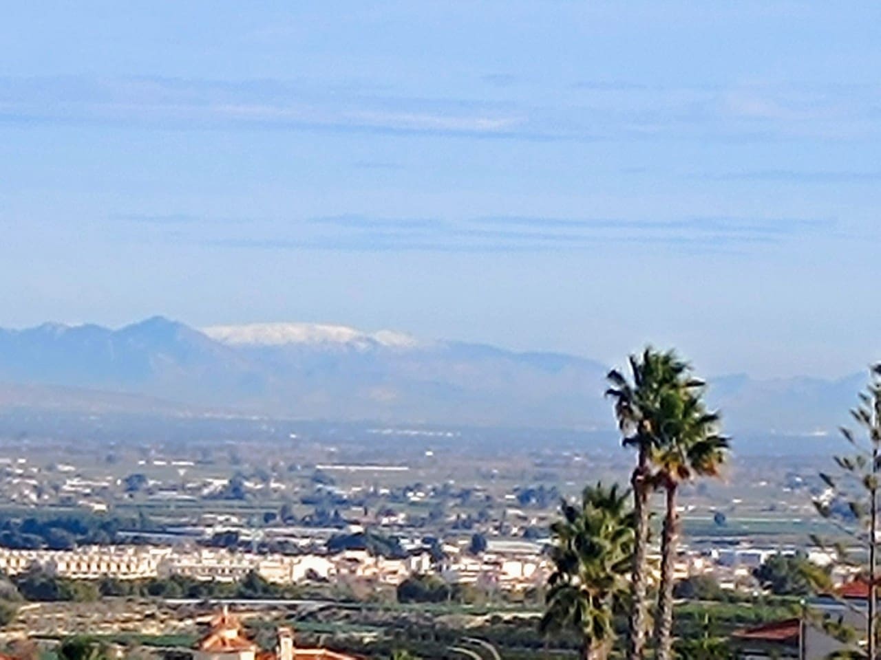 3 sovrum Villa till salu i Algorfa - 599 990 € (Ref: 9155336)