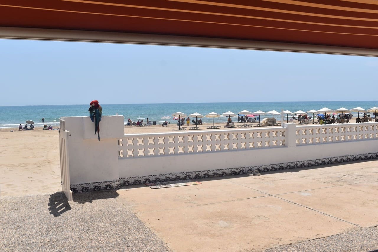 6 soverom Villa til salgs i Guardamar del Segura - € 1 100 000 (Ref: 9155527)