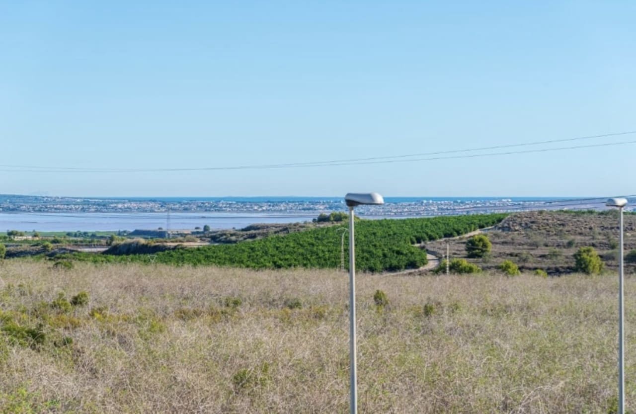 3 bedroom Villa for sale in San Miguel de Salinas - € 355,000 (Ref: 9155621)