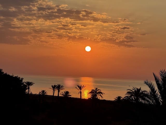 3 soveværelse Penthouse til salg i San Miguel de Salinas - € 315.000 (Ref: 9155622)