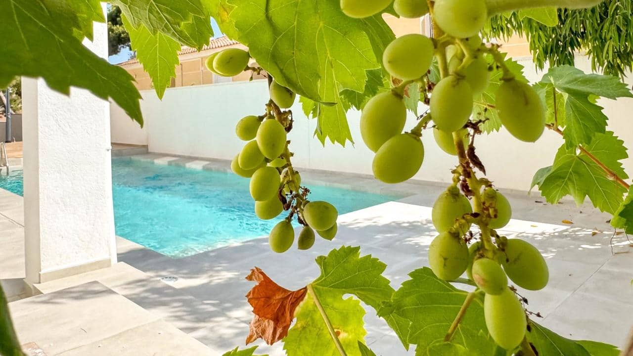 4 soveværelse Villa til salg i Torrevieja med swimmingpool - € 995.000 (Ref: 9155812)