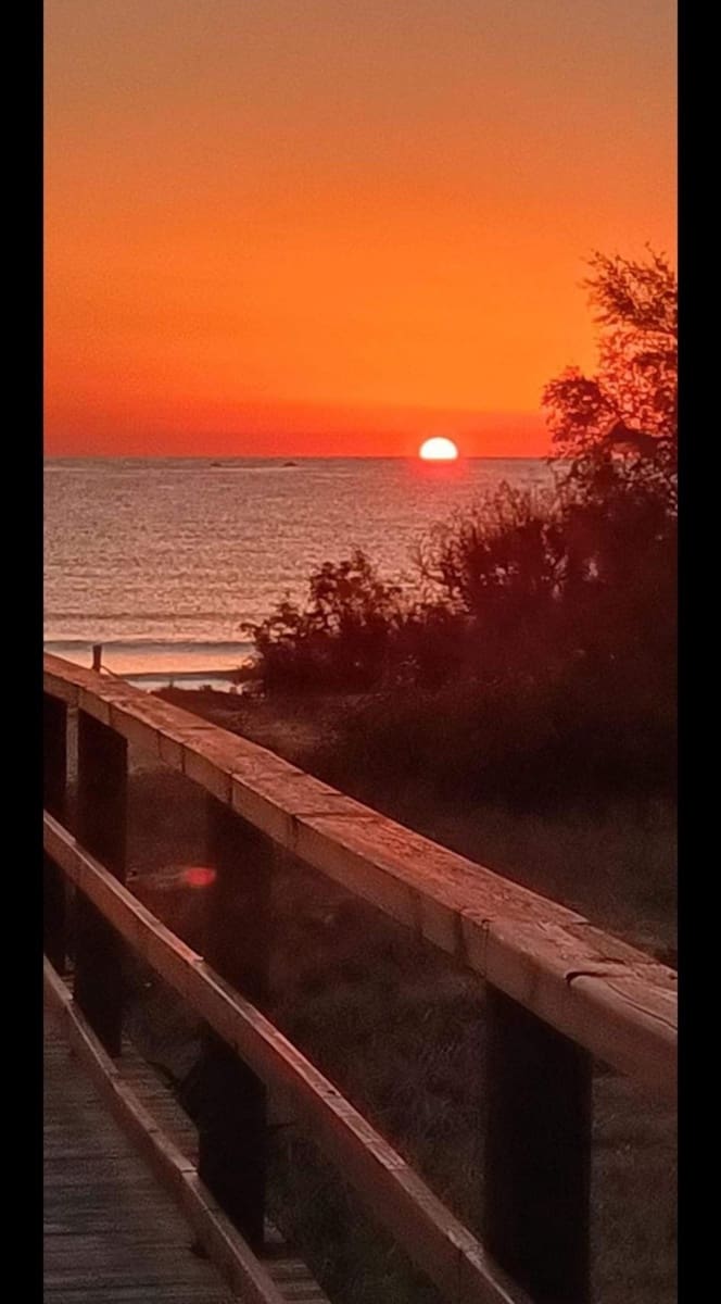 3 soveværelse Bungalow til salg i Torrevieja - € 415.000 (Ref: 9155913)