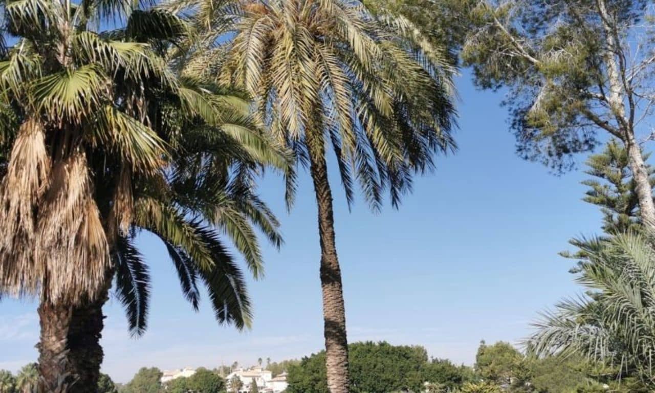 2 bedroom Apartment for sale in Orihuela Costa - € 212,350 (Ref: 9156000)