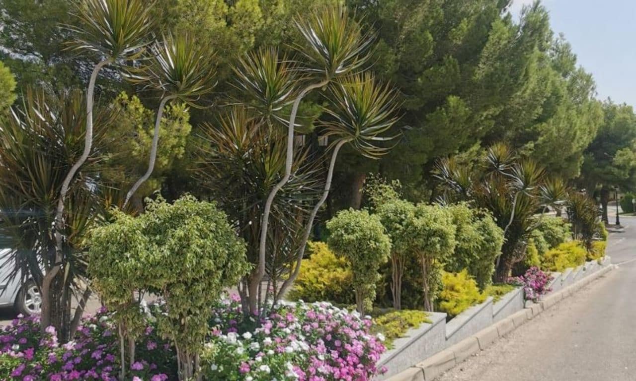 2 bedroom Apartment for sale in Orihuela Costa - € 212,350 (Ref: 9156000)