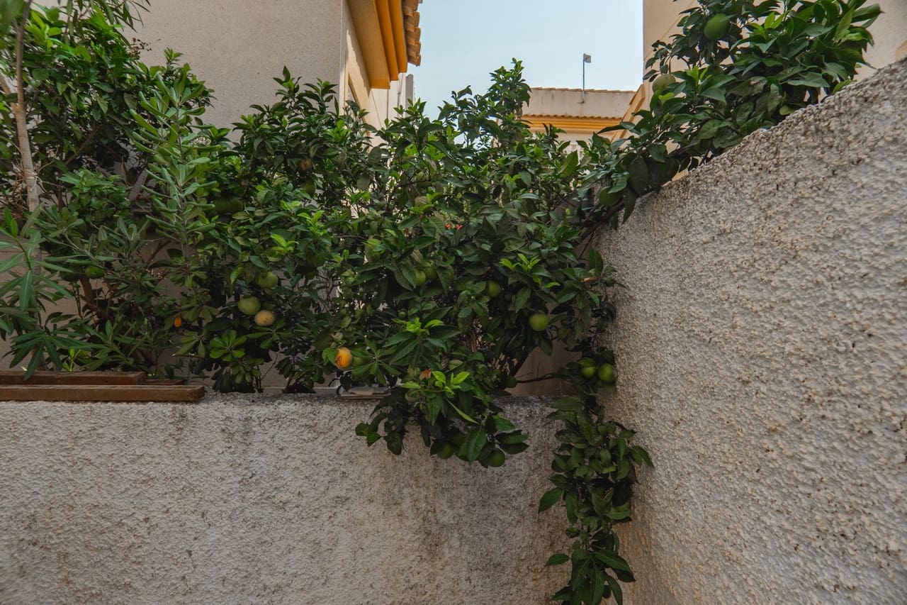 3 camera da letto Villa in vendita in Ciudad Quesada con piscina - 164.950 € (Rif: 9284978)