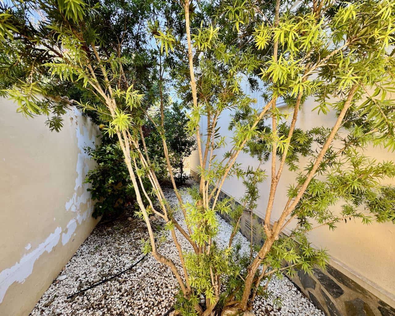 Chalet de 4 habitaciones en Ciudad Quesada en venta con piscina - 375.000 € (Ref: 9285000)