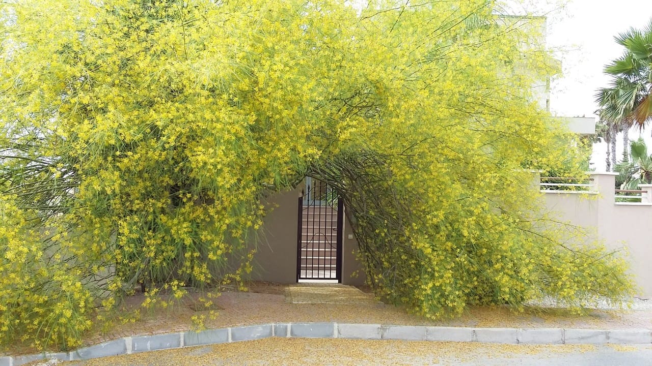 4 chambre Villa/Maison à vendre à Ciudad Quesada avec piscine - 840 000 € (Ref: 9285007)