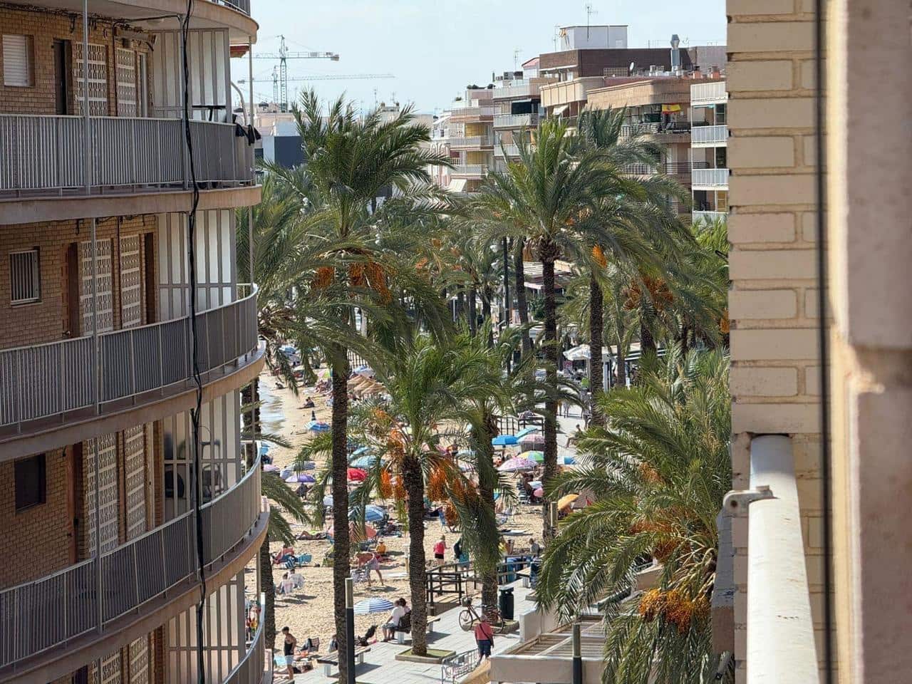 3 chambre Appartement à vendre à Torrevieja - 219 900 € (Ref: 9288096)