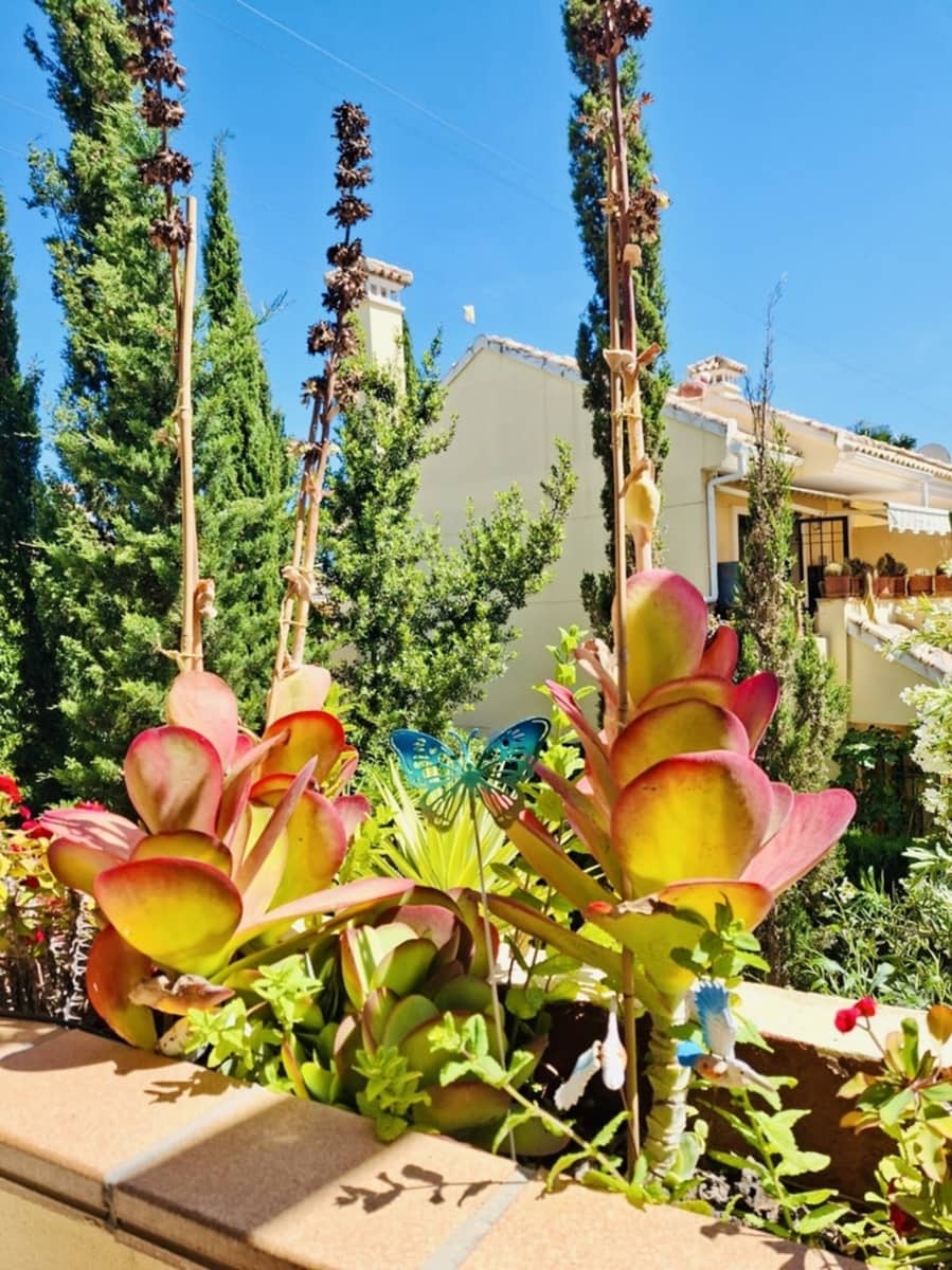 2 slaapkamer Appartement te koop in Orihuela Costa met zwembad - € 199.000 (Ref: 9297183)