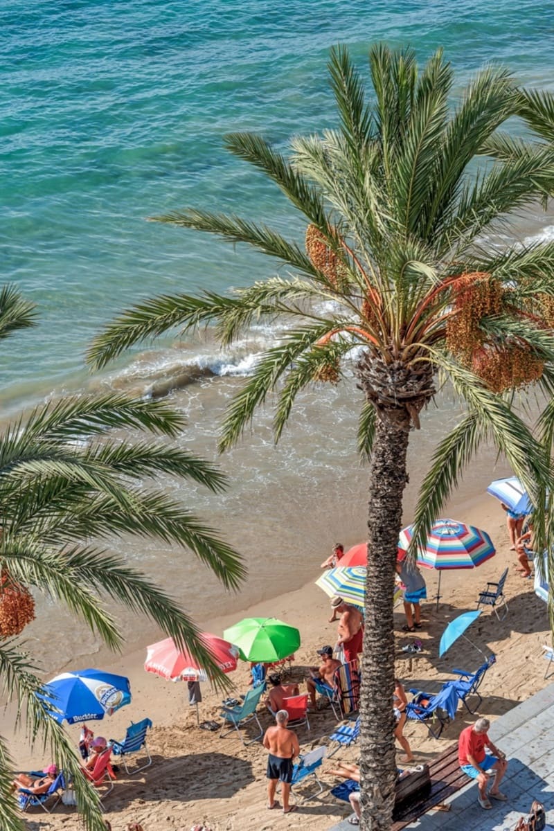 3 soveværelse Lejlighed til salg i Torrevieja med garage - € 475.000 (Ref: 9305084)