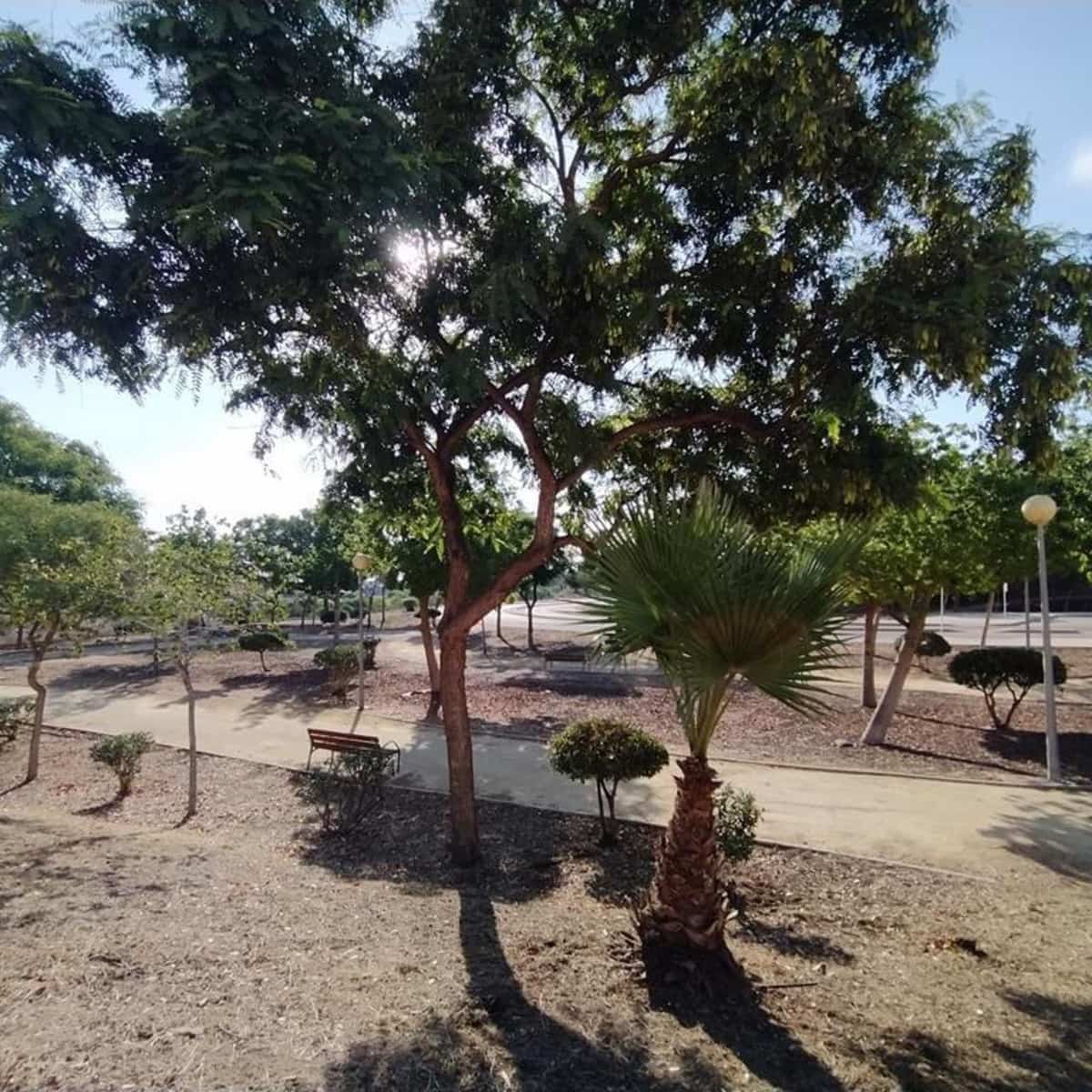 2 bedroom Apartment for sale in Orihuela Costa with pool - € 159,000 (Ref: 9317392)