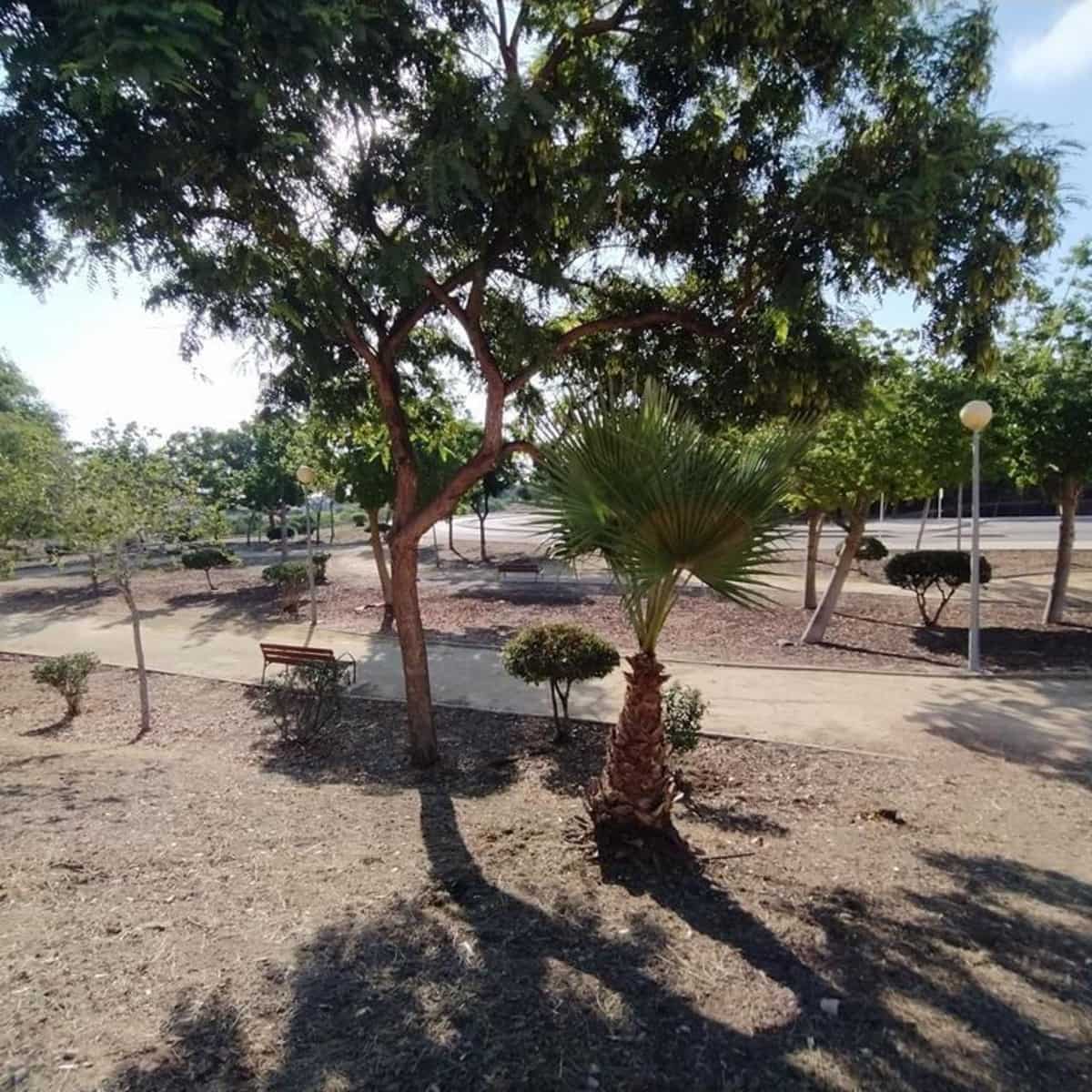 2 bedroom Apartment for sale in Orihuela Costa with pool - € 159,000 (Ref: 9317392)