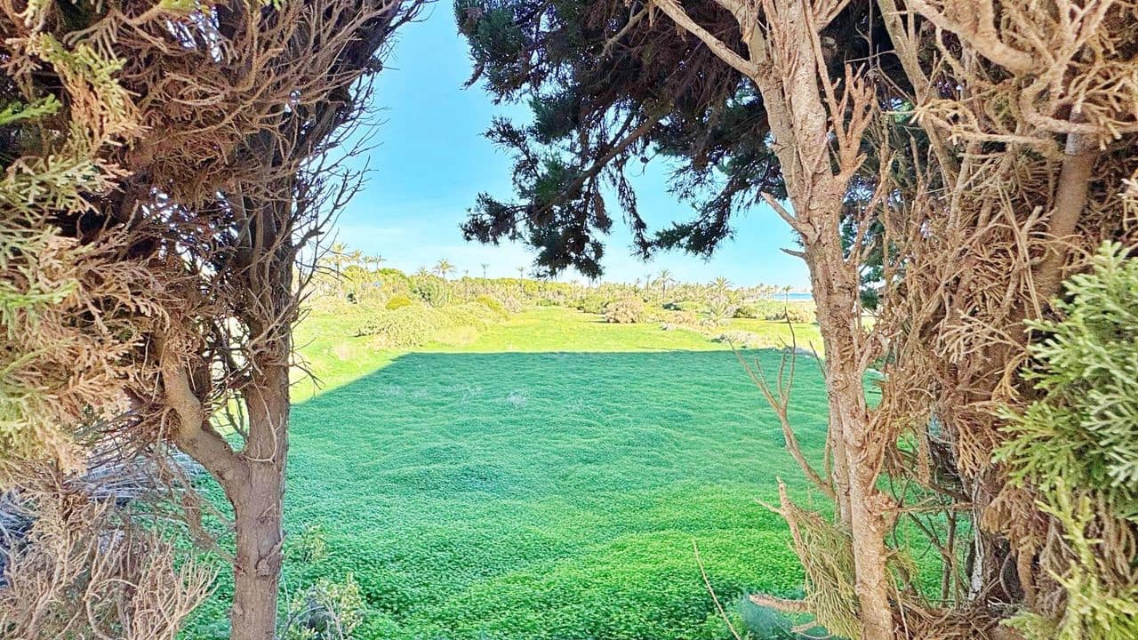 1 quarto Apartamento para venda em Torrevieja - 135 900 € (Ref: 9387172)