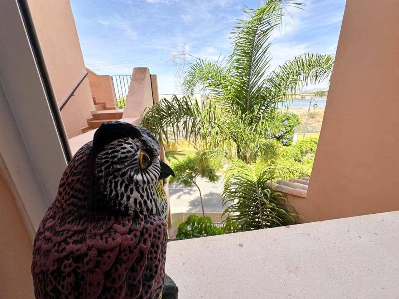 Apartamento de 3 habitaciones en Torre-Pacheco en venta - 259.950 € (Ref: 9409190)