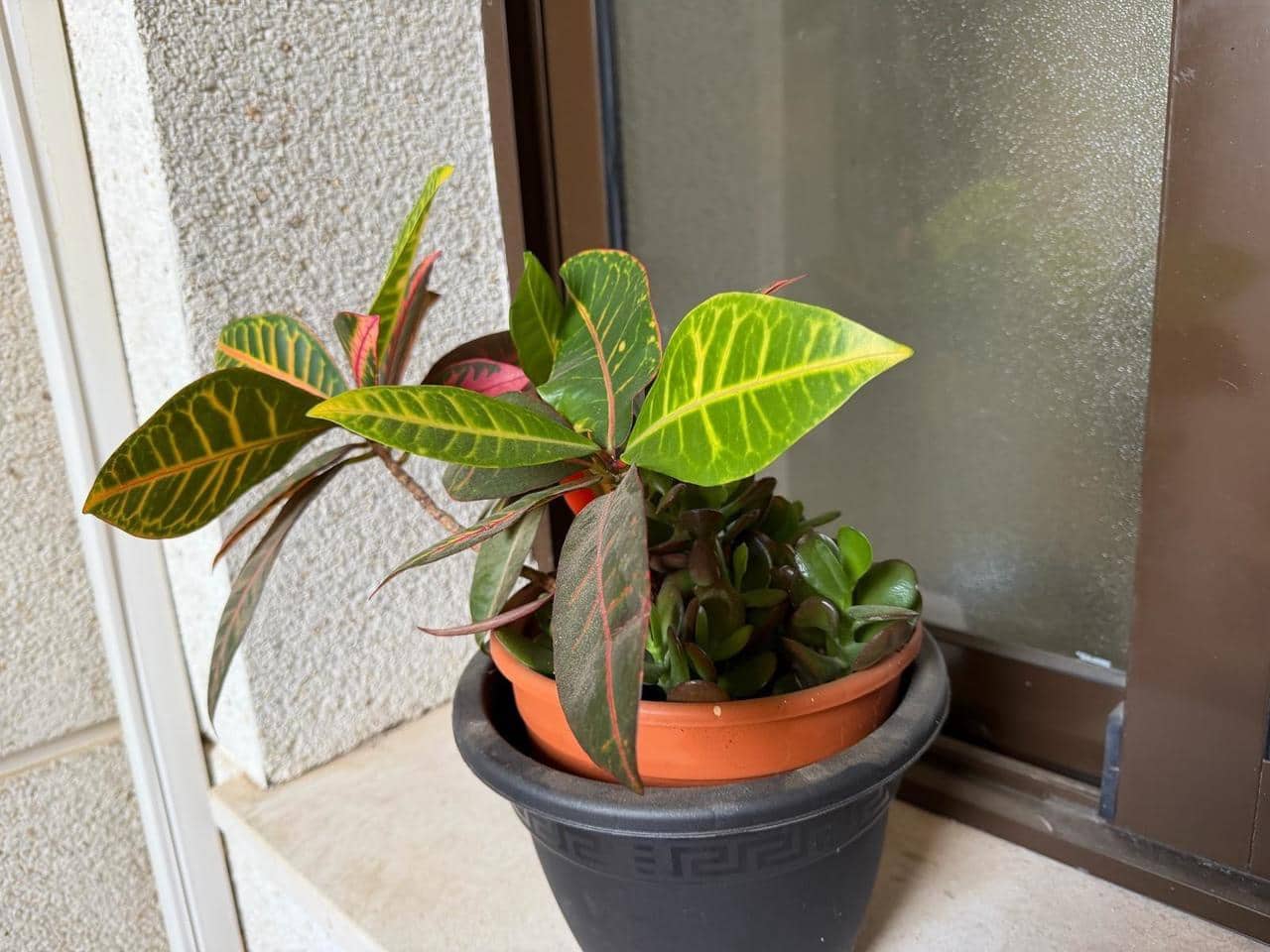 Apartamento de 2 habitaciones en Orihuela Costa en venta con piscina - 159.900 € (Ref: 9475903)