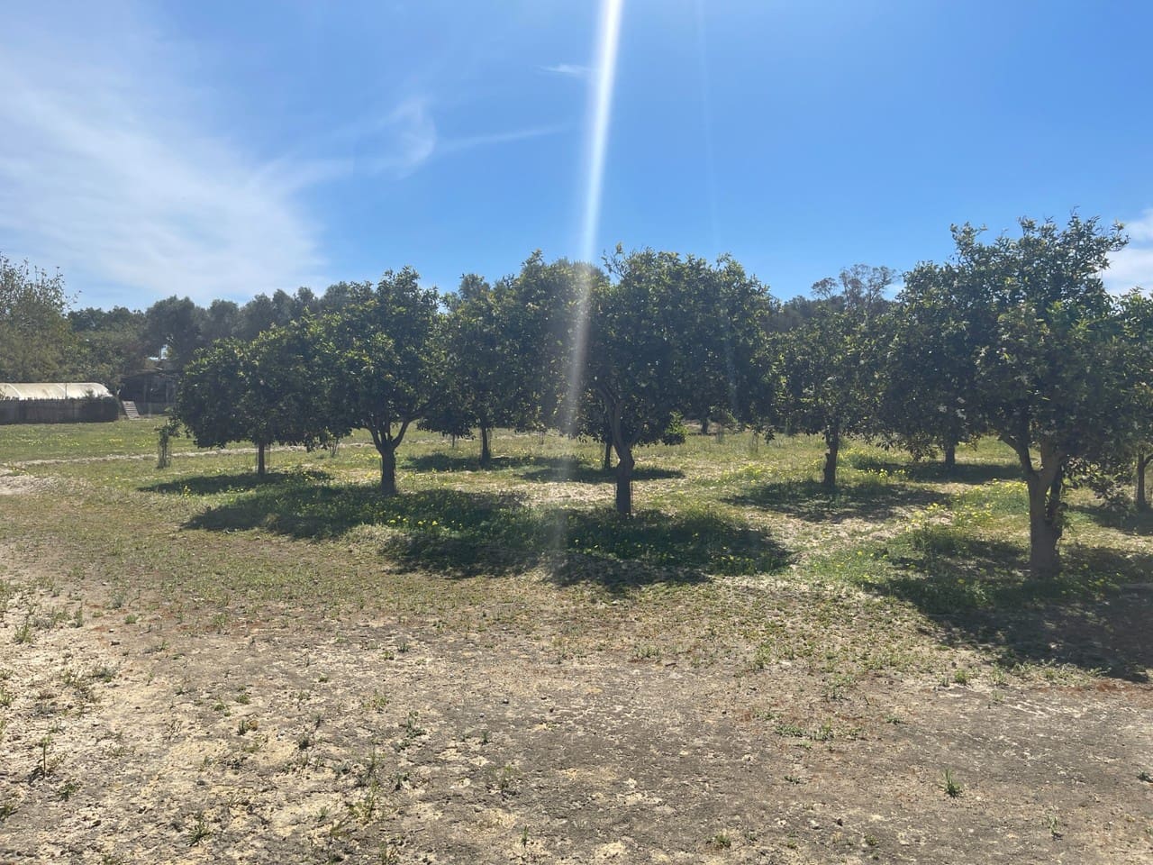 3 quarto Moradia para venda em Guardamar del Segura - 460 000 € (Ref: 9600999)