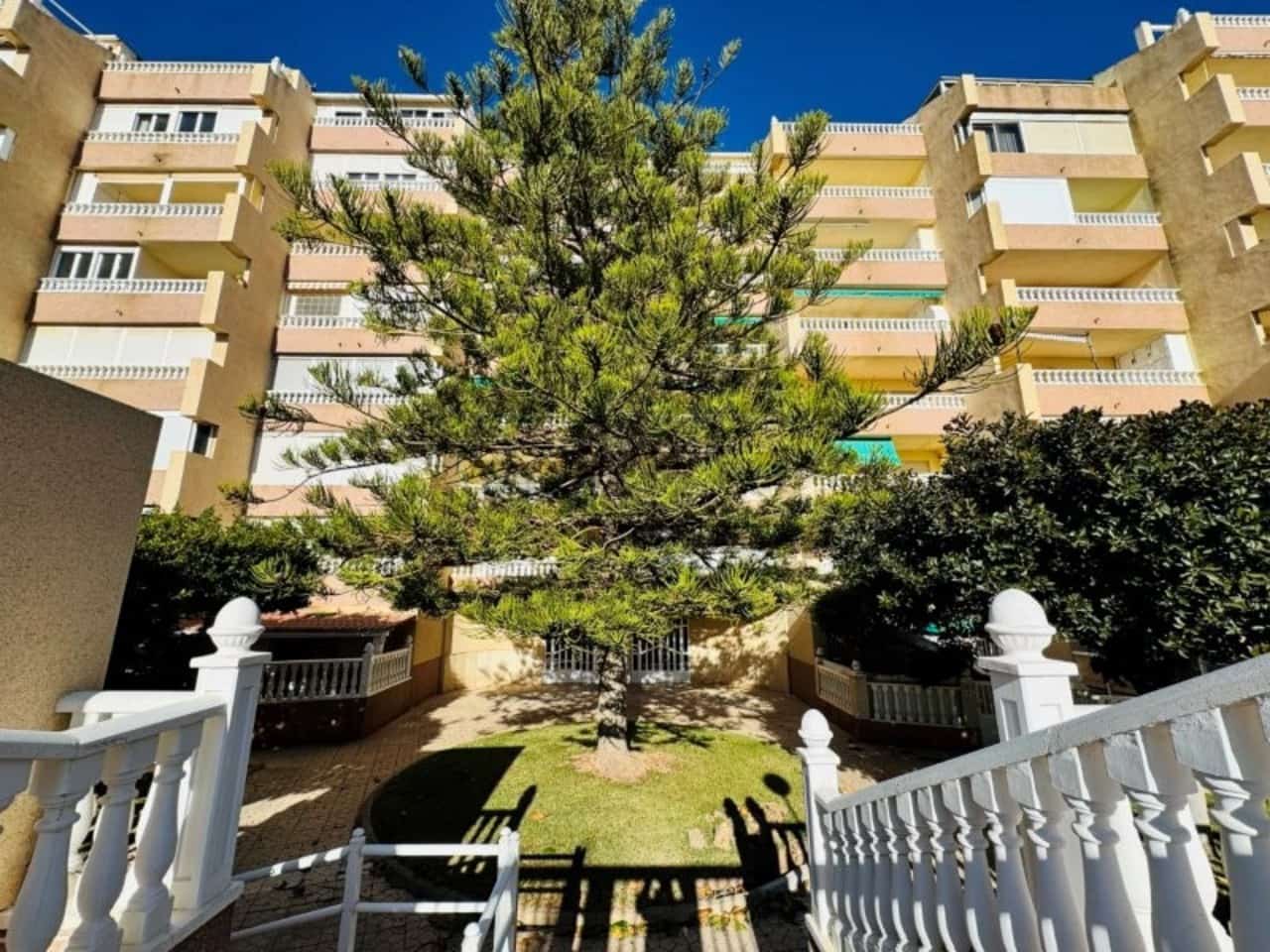 3 chambre Penthouse à vendre à La Mata avec piscine garage - 470 000 € (Ref: 9602533)