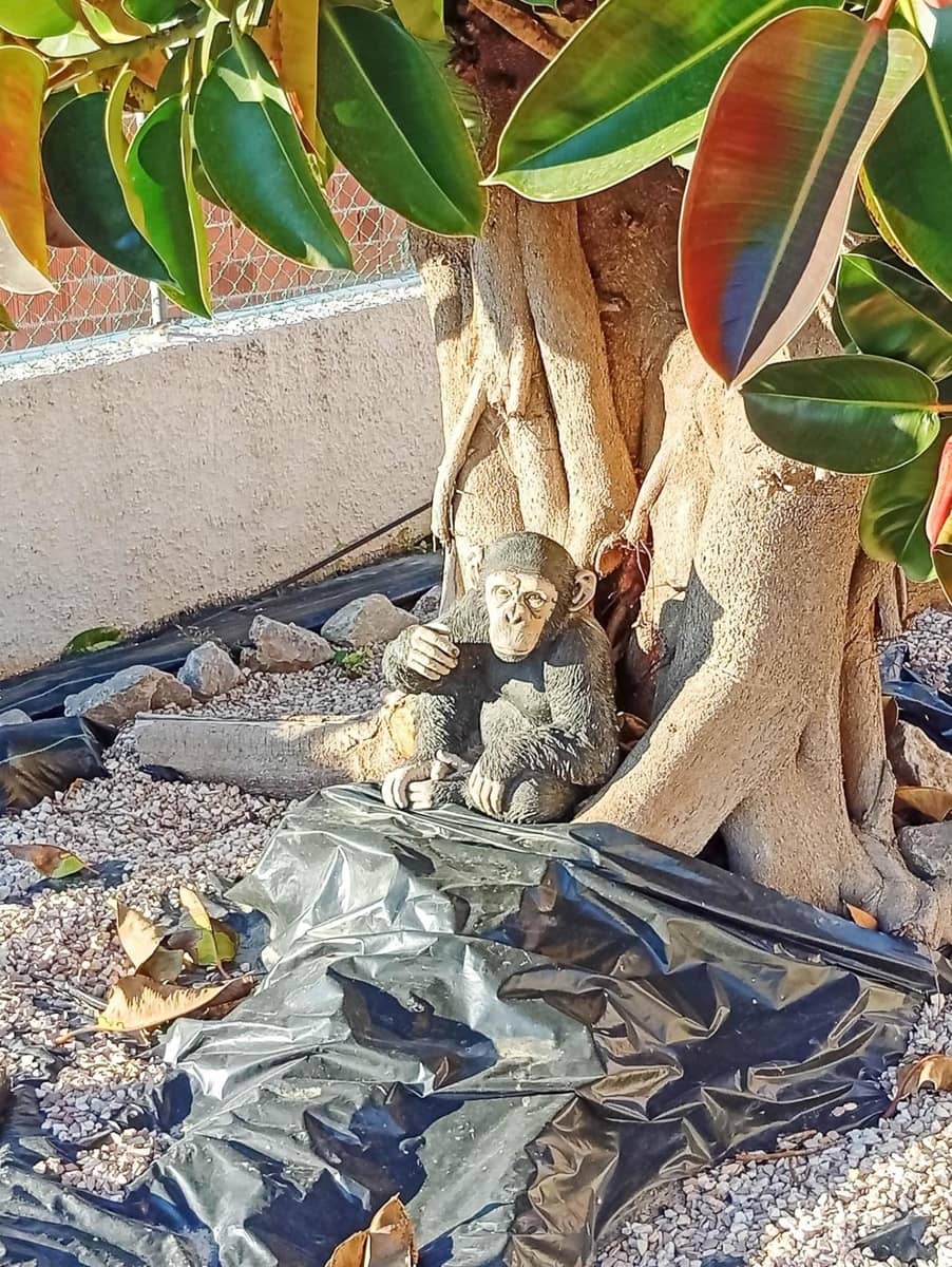 Chalet de 4 habitaciones en Torrevieja en venta - 460.000 € (Ref: 9607168)