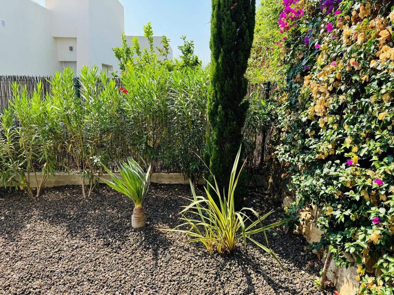 3 sypialnia Willa na sprzedaż w Algorfa z basenem - 650 000 € (Ref: 9633754)